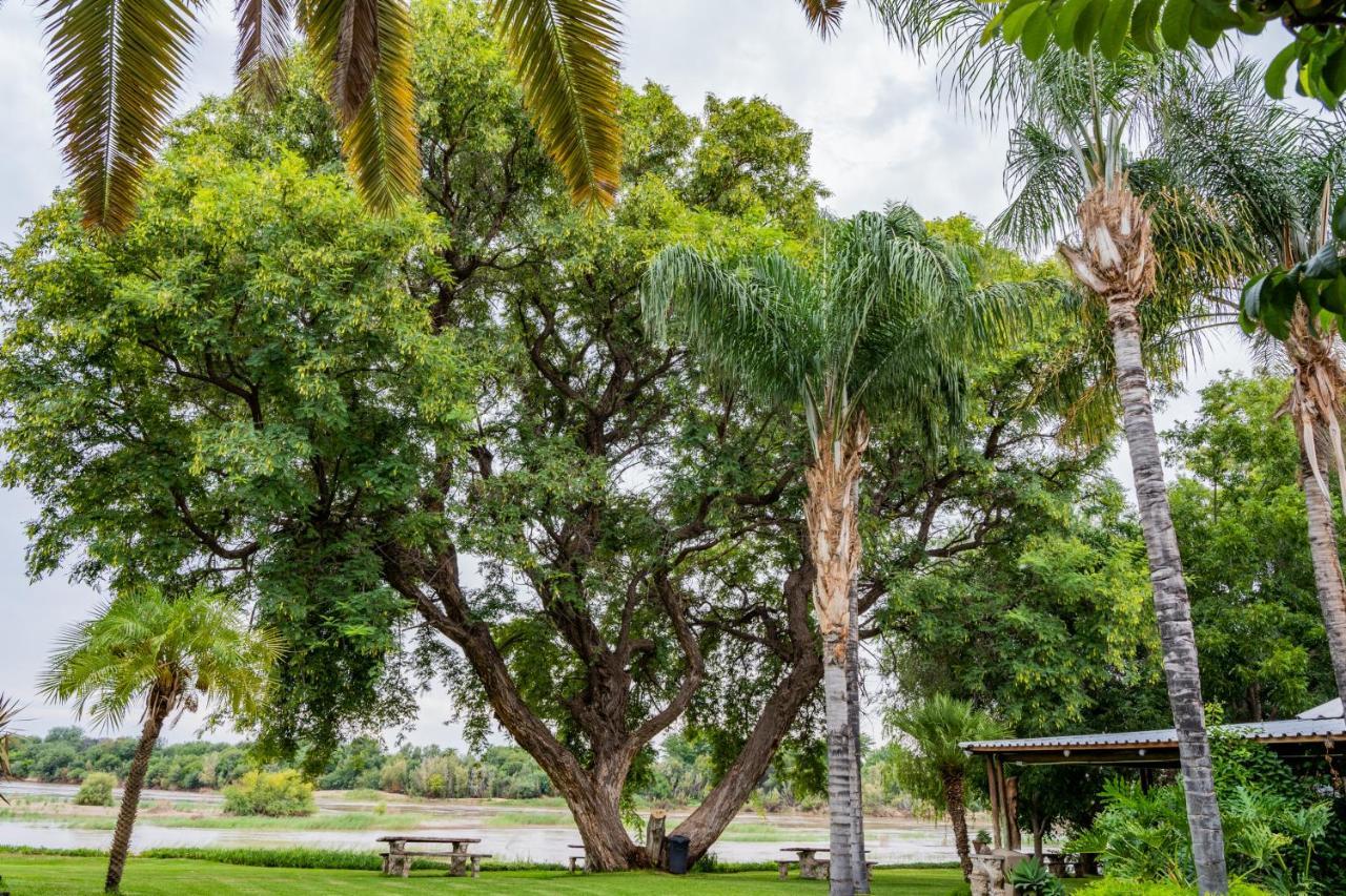 Riverbank Lodge Upington Extérieur photo